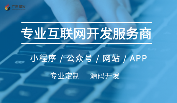 专业互联网软件系统开发服务商